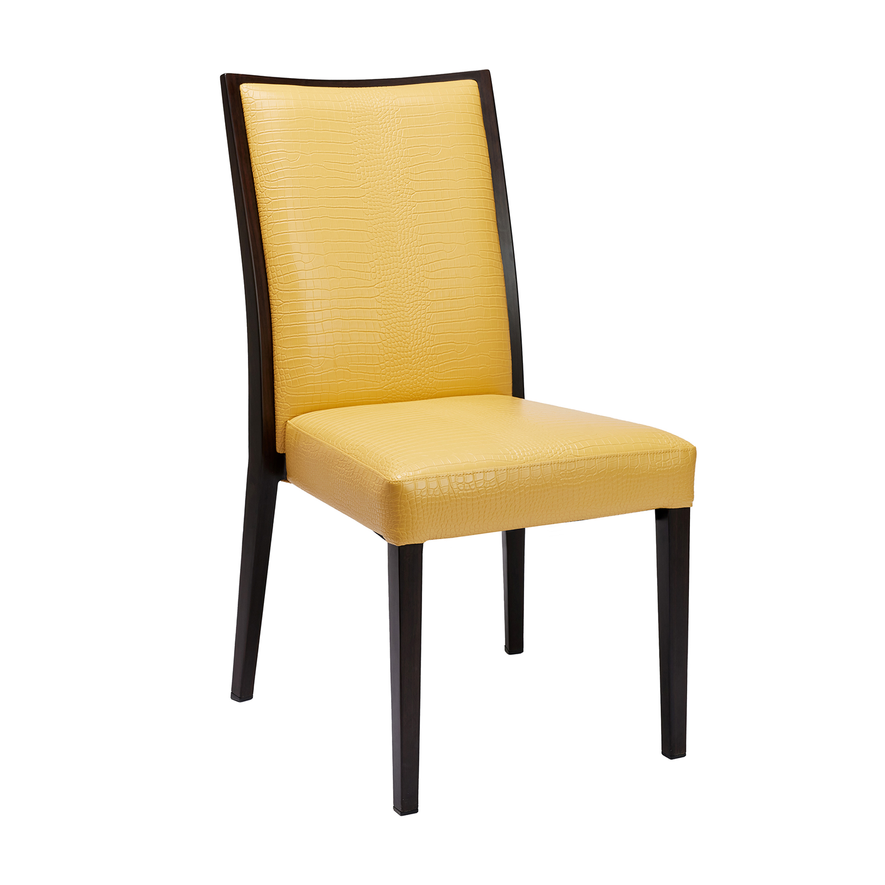Hayden Metal Chair