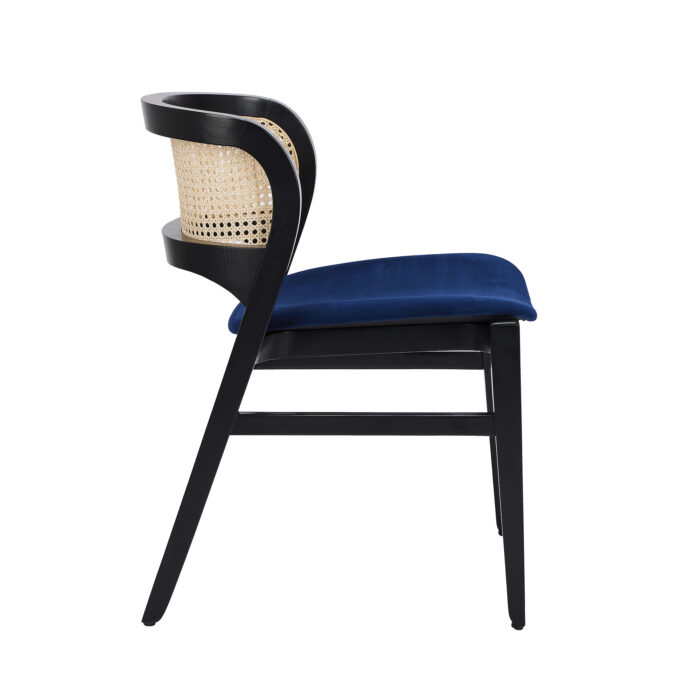 Aloe Wood Chair
