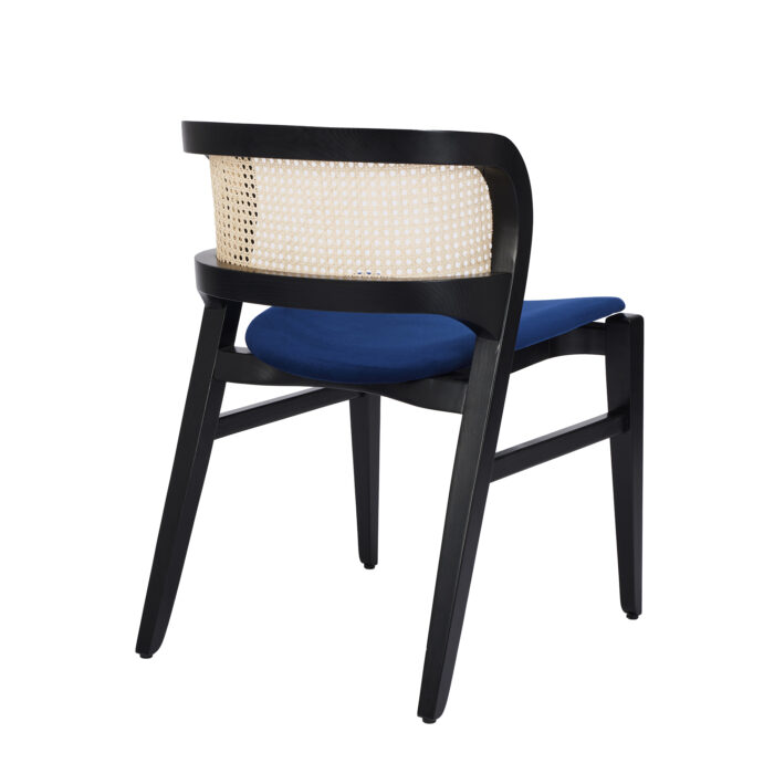 Aloe Wood Chair