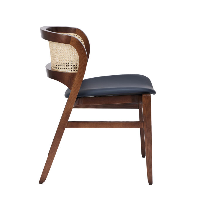 Aloe Wood Chair