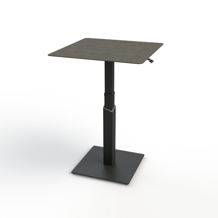 5019 Extendable