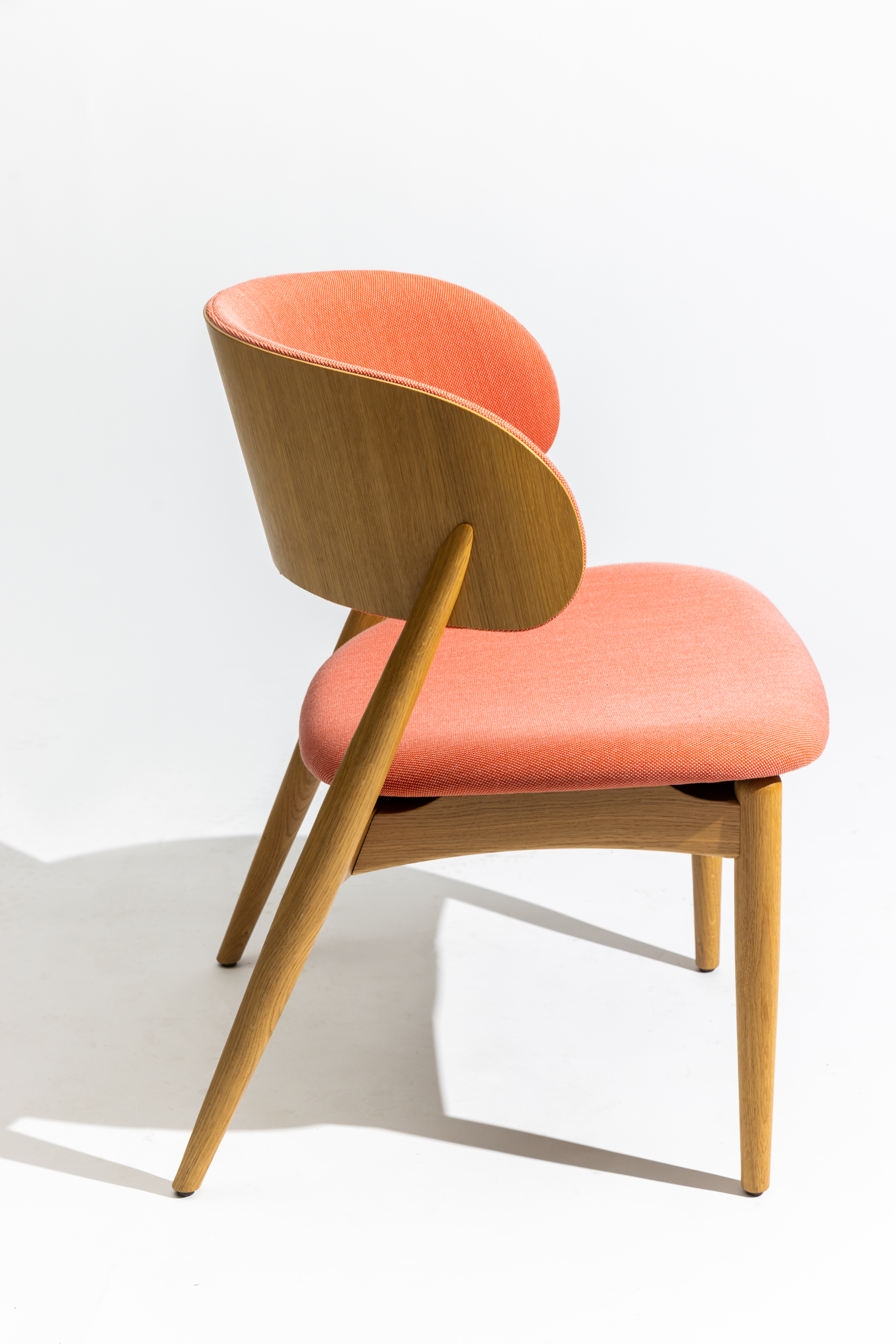 Echo Arm Chair