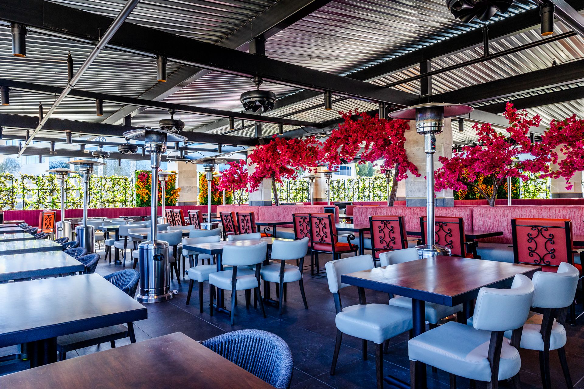 The Mexicano, Phoenix Arizona
